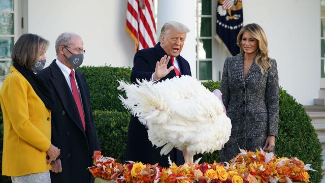 U.S. President Trump hosts pardoning of the 72nd National Thanksgiving Turkeys at the White House in Washington 