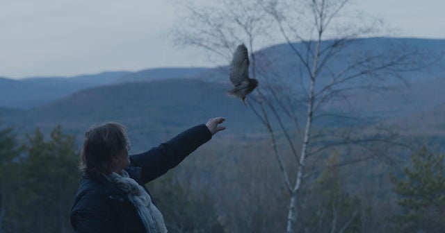 Rocky, the tiny Rockefeller Center Christmas tree owl, released back