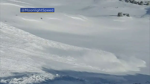 AVALANCHE WARNING PKG.transfer_frame_913