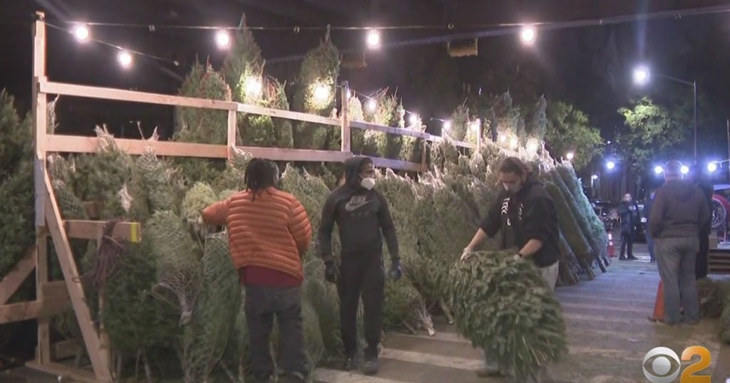 Christmas Trees Already In High Demand With New Yorkers Eager To Bring
