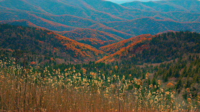 naturegreatsmokymountainsfallcolors1920-597776-640x360.jpg 