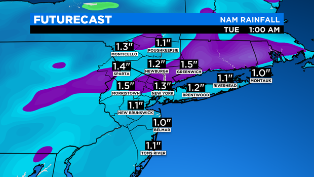 SkyCast FutureCast Rainfall NAM 