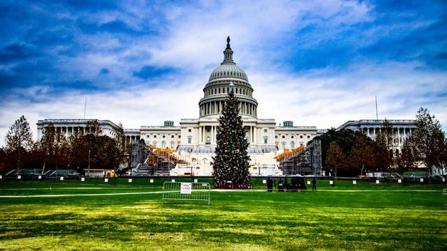 us-capitol-tree.jpg 