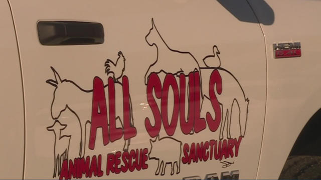 all-souls-animal-rescue.jpg 