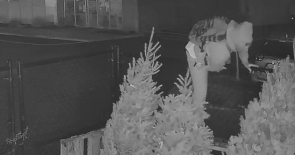 Burglar Caught On Video Stealing Trees, Wreaths, Money From Raynham