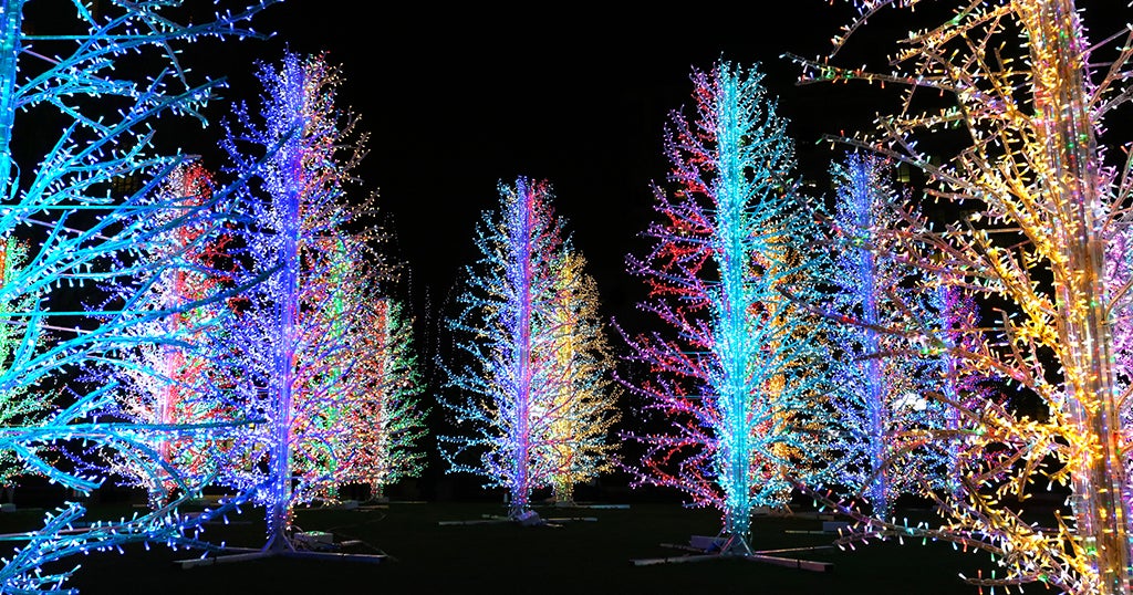 Livonia Opens Up Contest To Residents To 'Light Up Livonia' For The