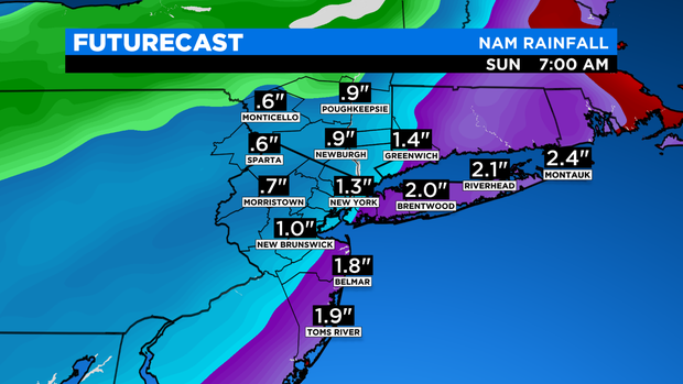 SkyCast FutureCast Rainfall NAM 