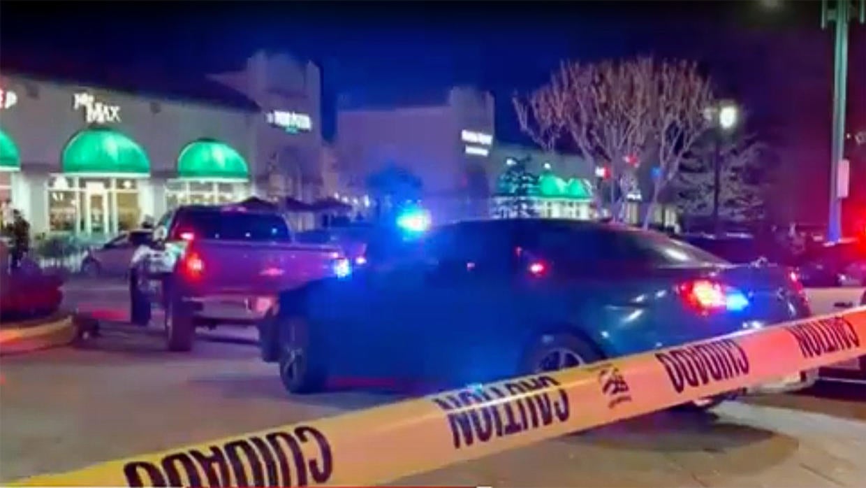 Redding Police Fatally Shoot Woman Whose Car Struck, Pinned Officer ...