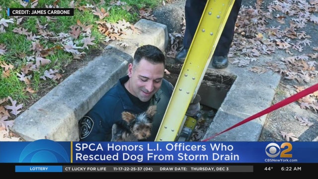 spca-dog-rescue-officers-honored-coram.jpg 