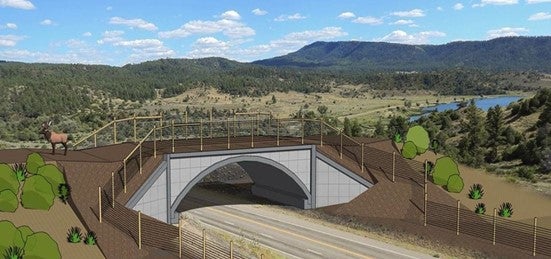 cpw wildlife overpass (cpw) 