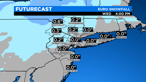 SkyCast FutureCast Snowfall EURO 