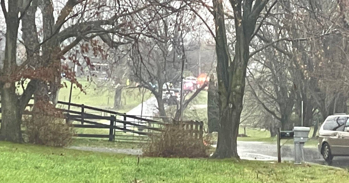 7 minors were in the horse and buggy hit by a dump truck in fatal ...