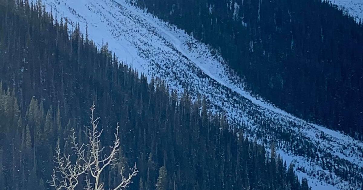 2 Backcountry Skiers Killed In San Juan County Avalanche CBS Colorado