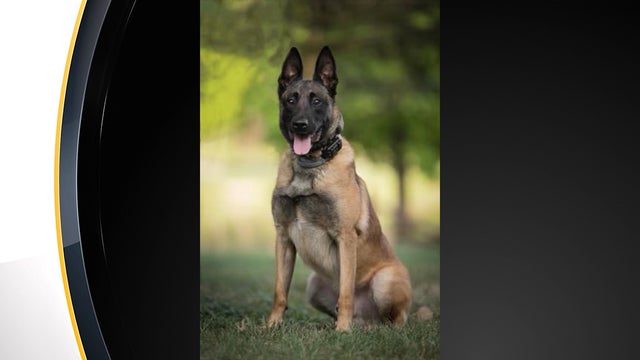 k9-ivan-north-huntingdon-police-dept.jpg 