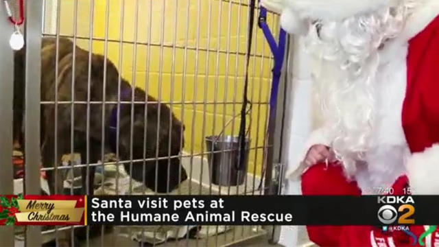 santa-humane-animal-rescue-visit.jpg 