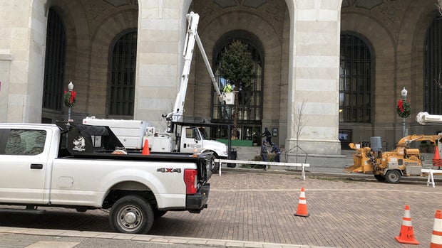 City of Pittsburgh Christmas Tree 