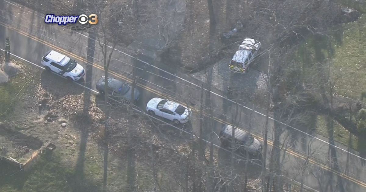 Two People Dead After Car Slams Into Tree In Gloucester County - CBS ...