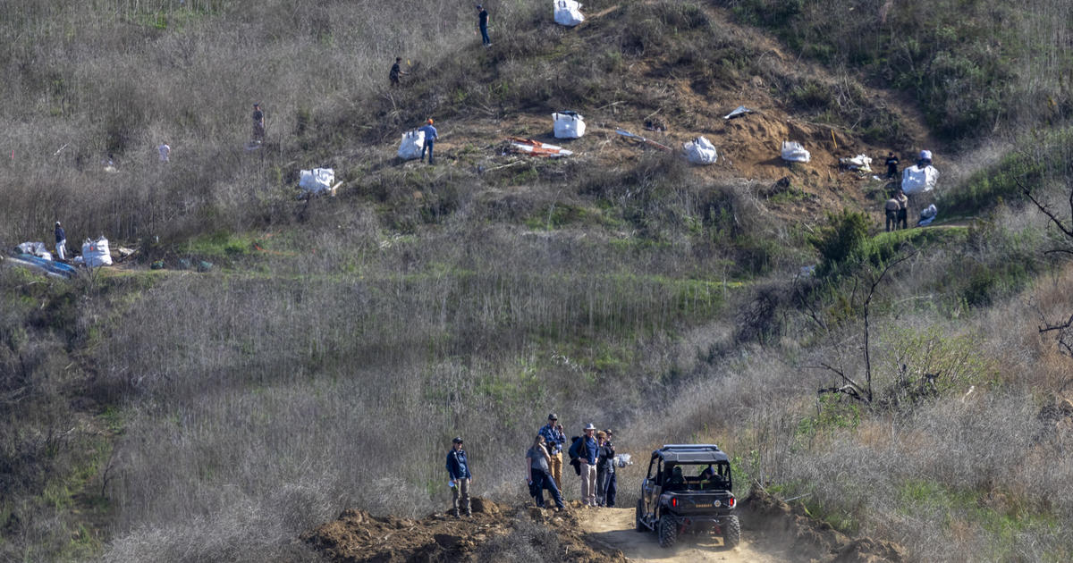 Pilot in Kobe Bryant Crash Violated Federal Standards, Likely Became  Disoriented, NTSB Finds - CBS Los Angeles