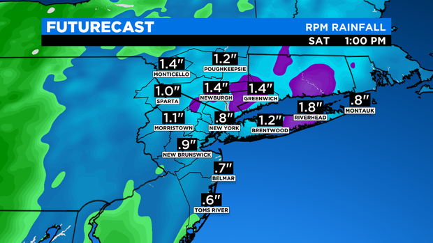 SkyCast FutureCast Rainfall RPM 