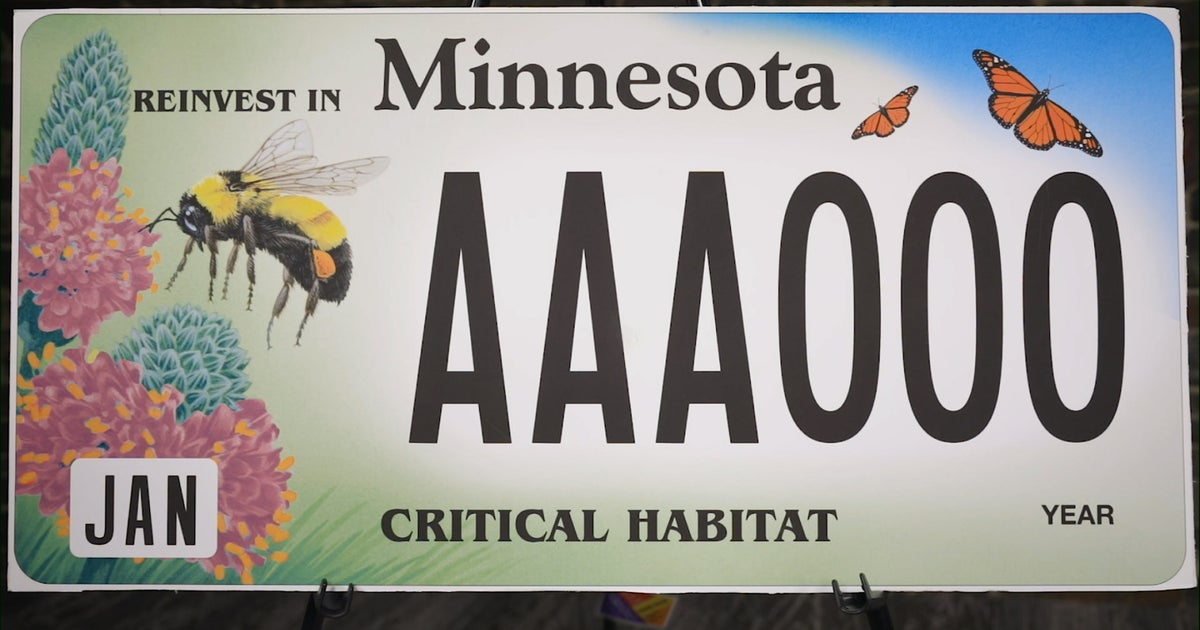 DNR Releases New Habitat License Plates CBS Minnesota