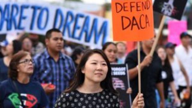 DACA1-3.jpg 