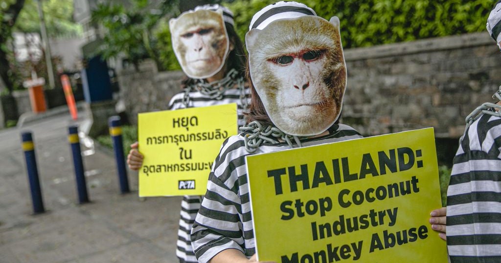 Target Pulls Chaokoh Coconut Milk From Shelves Over Allegations Of