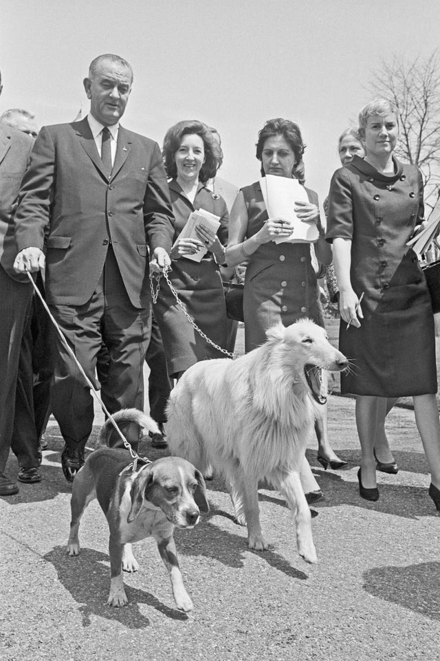 President Johnson Walking Dogs