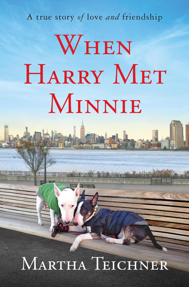when-harry-met-minnie-cover.jpg 