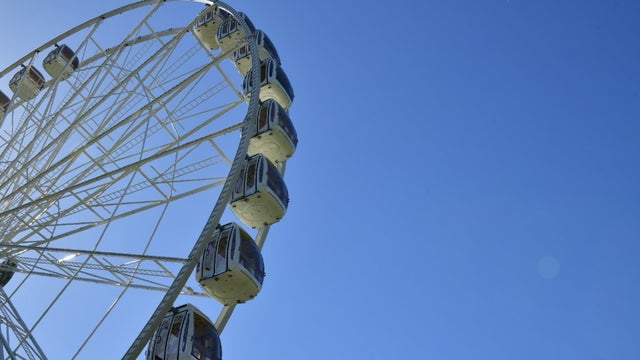 golden_gate_park_wheel_012821.jpg 
