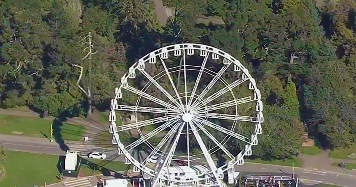 UPDATE Ferris Wheel to Stay in San Francisco's Golden Gate Park