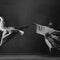 ailey-1280-50610422216-9b52bd4d15.jpg 