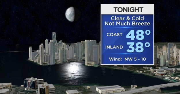 Miami Weather: Another Cold Night & Possibly Falling Iguanas, Then ...