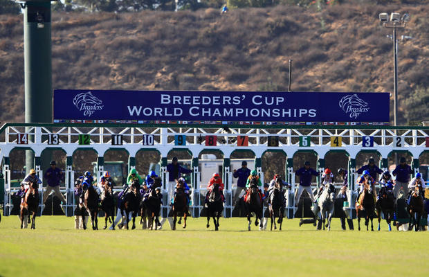 2017 Breeders' Cup World Championships at Del Mar - Day 2 