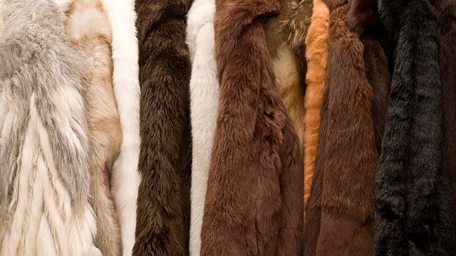 fur-coats.jpg 