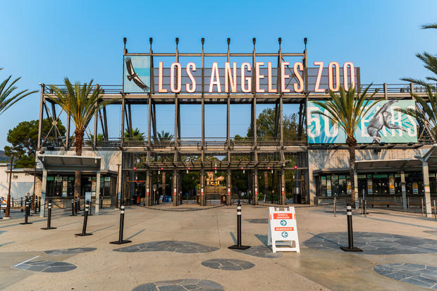 LA Zoo reopening 