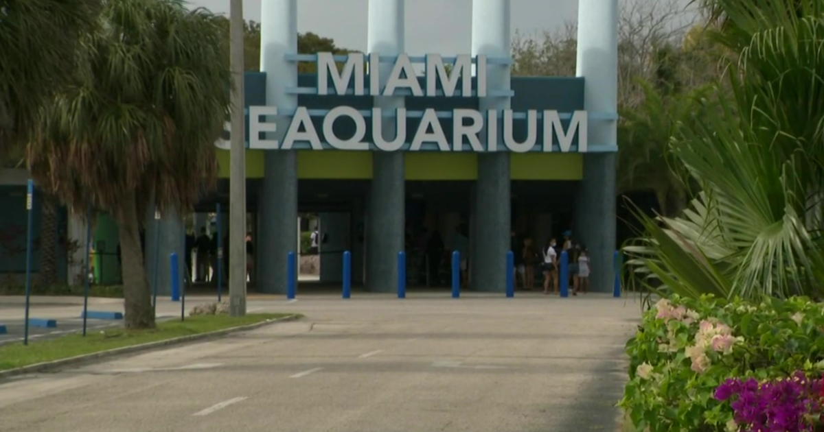 Miami Seaquarium owner files federal lawsuit in opposition to Miami-Dade County
