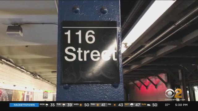 2-year-old-punched-on-subway-sanchez.jpg 