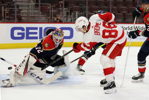 Florida Panthers v Detroit Red Wings 