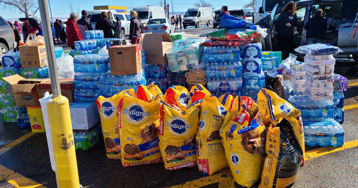 Texas Rescue Bring Dogs To Colorado Shelters, Returns With Donated ...