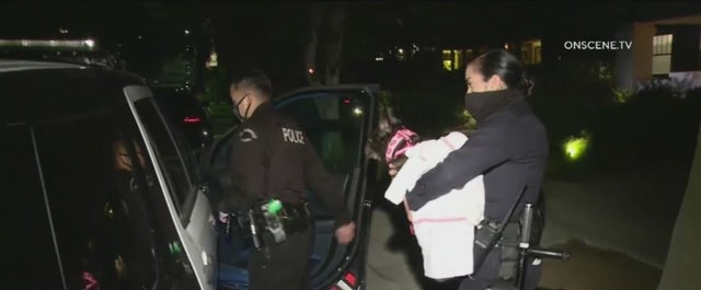 Lady Gaga's Dogwalker Shot, Wounded In Hollywood; 2 French Bulldogs Stolen 