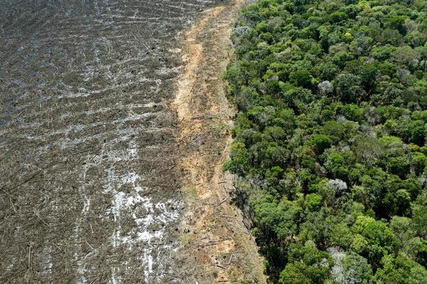 BRAZIL-ENVIRONMENT-DEFORESTATION 