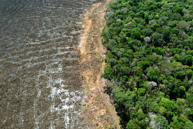 BRAZIL-ENVIRONMENT-DEFORESTATION 