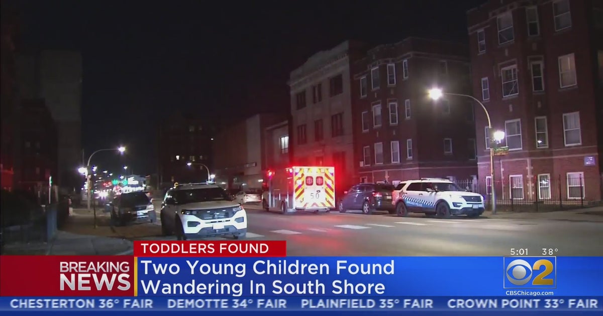 Two Toddlers Found Walking Outside Alone In South Shore - CBS Chicago