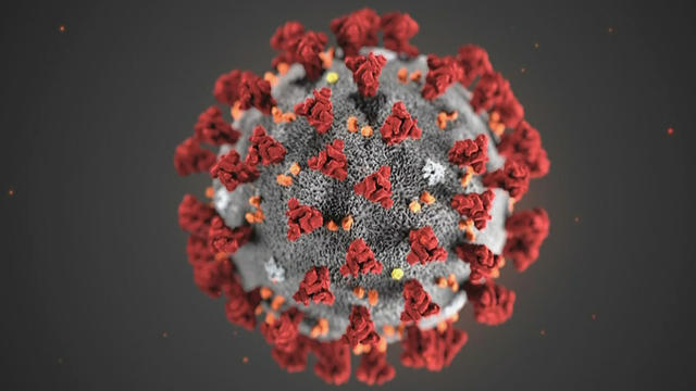 coronavirus.jpg 