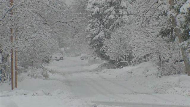 Chautauqua Park Boulder March Snow 2021 
