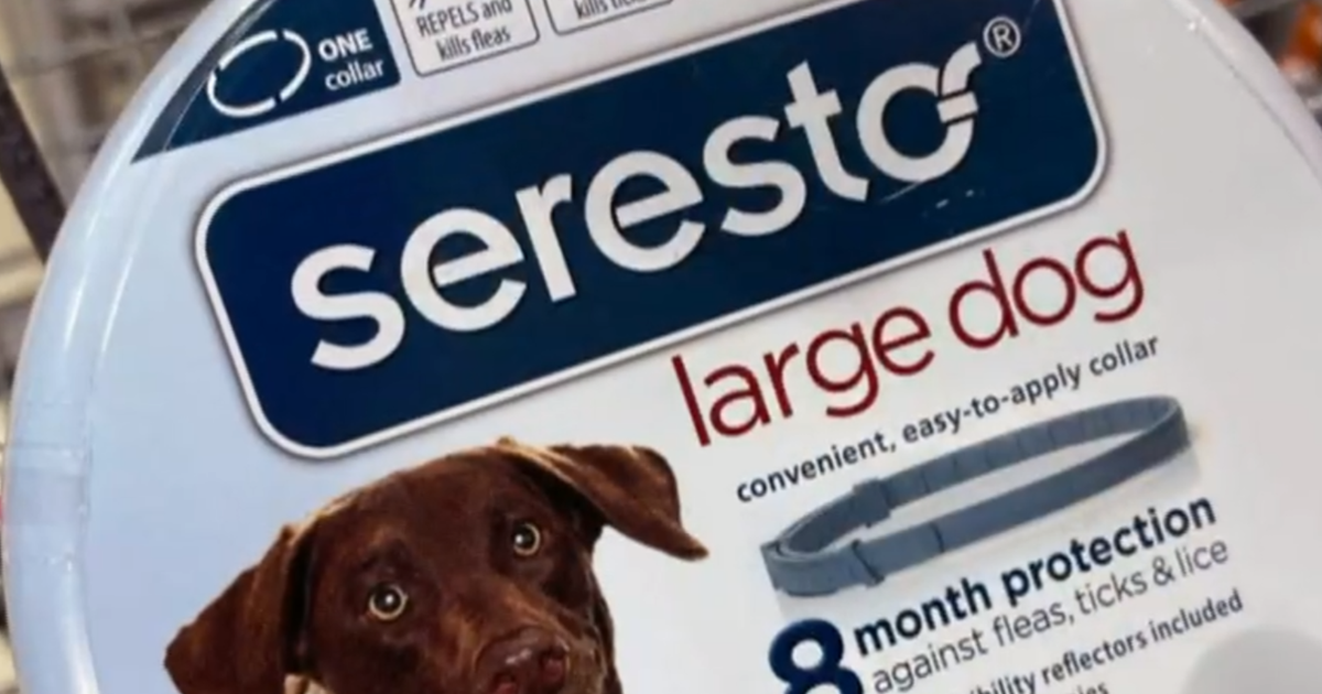 Dog flea collars top that last 8 months