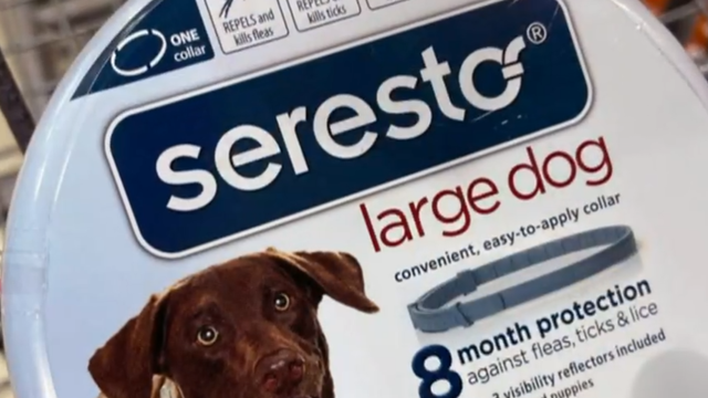 Seresto flea collar should be recalled after 2 500 pet deaths lawmakers say CBS News
