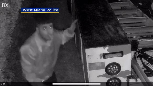 1700-1800-Peter-West-Miami-Serial-Burglars-pkgs.jpg 