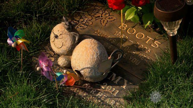 sunmo-0427-petcemetery-640x360.jpg 
