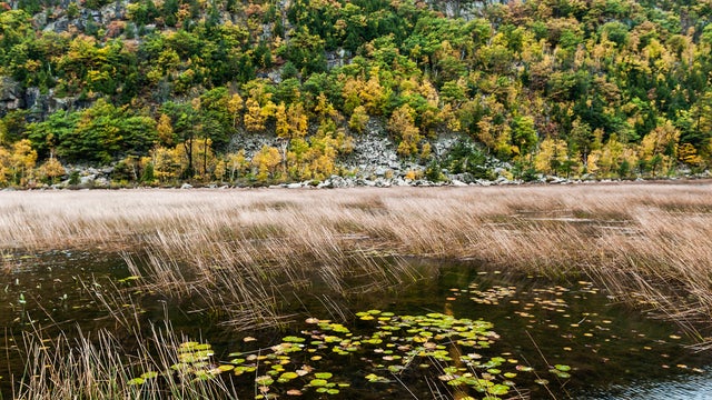 The tarn at the base of Dorr Mountain, Acadia National Park 